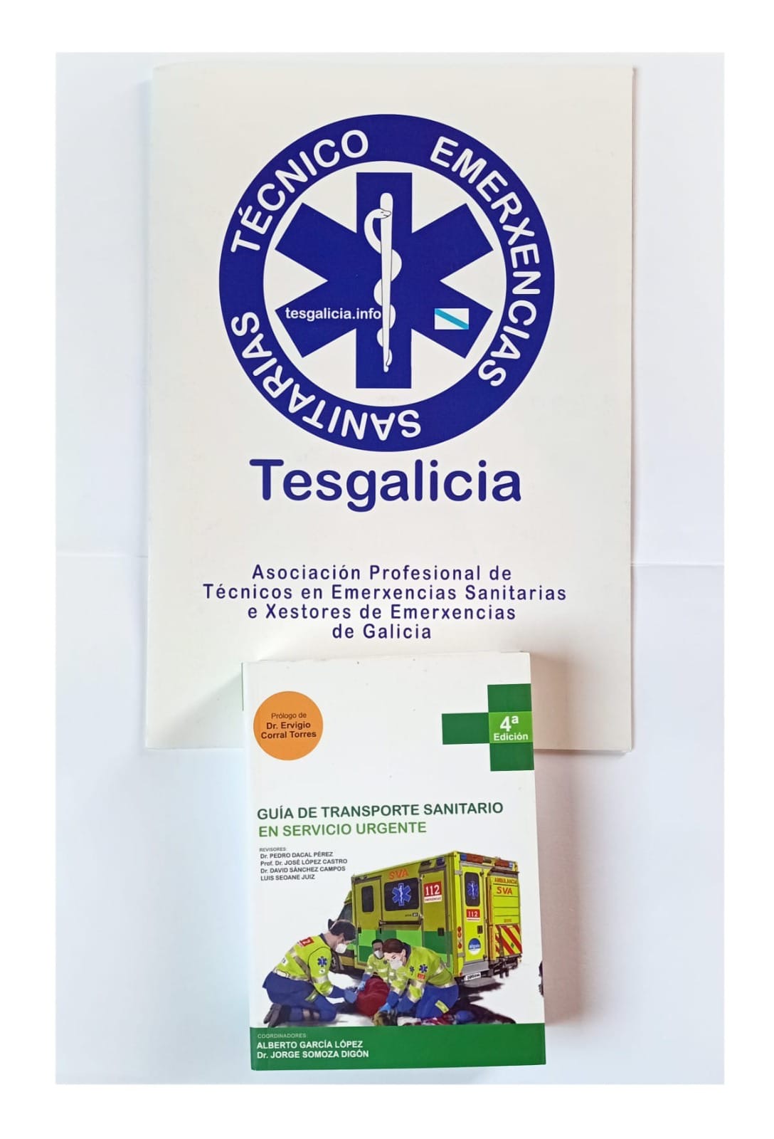 GUÍA DEL TES LIBRERÍA BERRI
